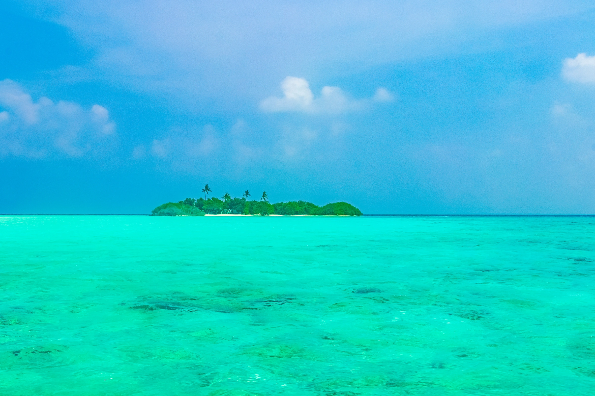 Madivaru[1].webp